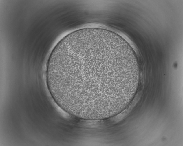 X0000116561438201001211213