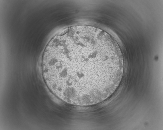 X0000116561439201001211213