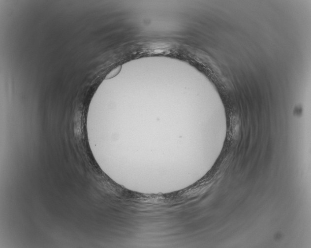 X0000116561442201001211213