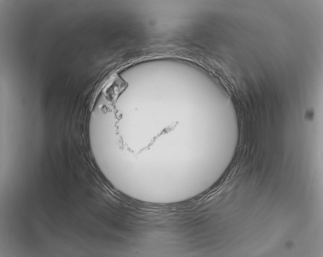 X0000116561444201001211213