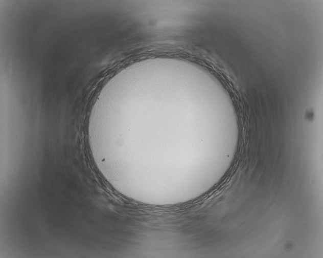 X0000116561445201001211213