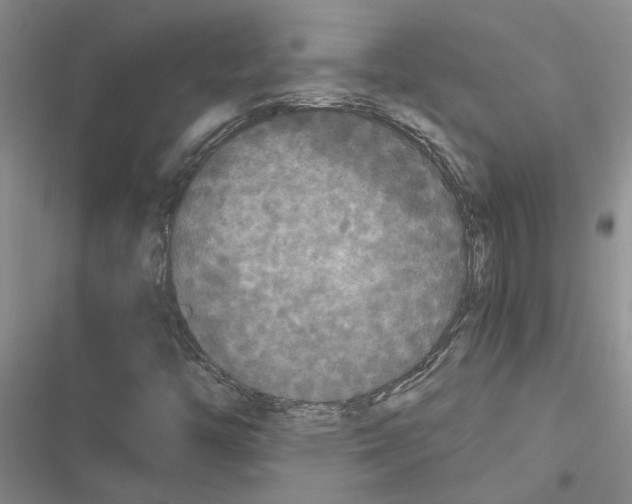 X0000116561446201001211213