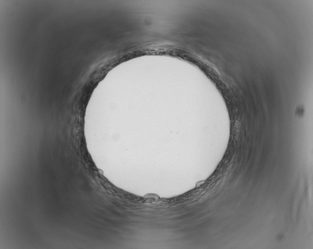 X0000116561447201001211213