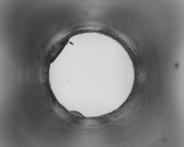 X0000116561448201001211213