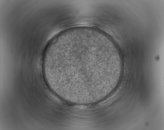 X0000116561450201001211213