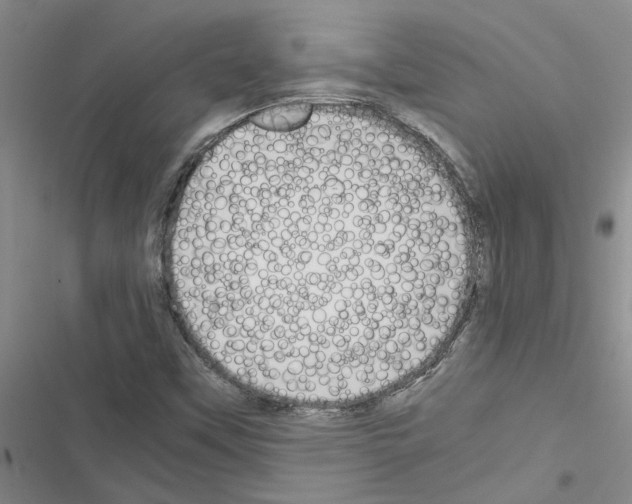 X0000116561451201001211213