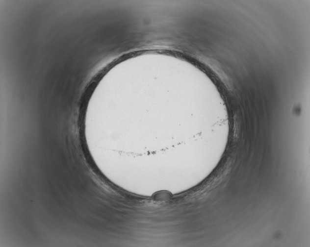 X0000116561452201001211213