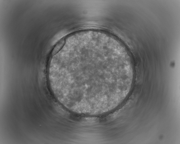 X0000116561453201001211213
