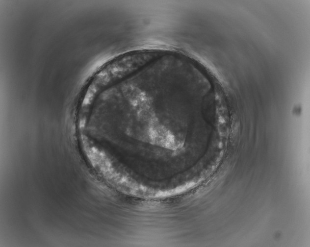X0000116561455201001211213