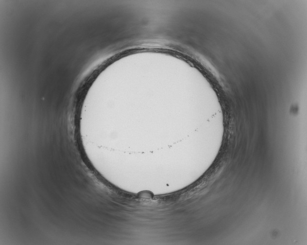 X0000116561456201001211212