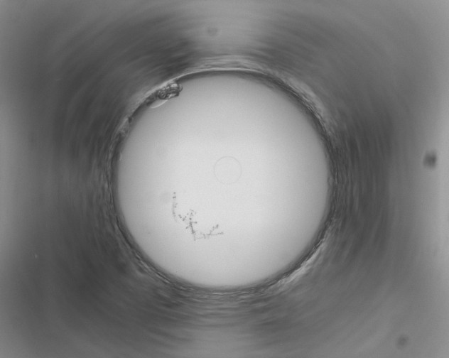 X0000116561457201001211212