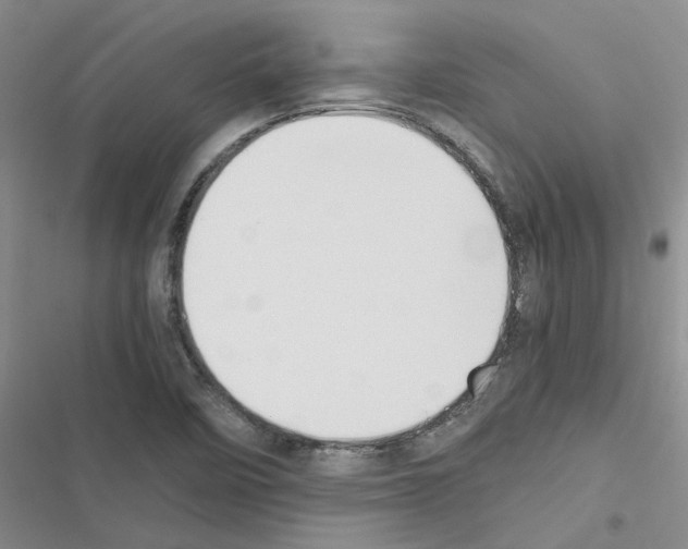 X0000116561458201001211212