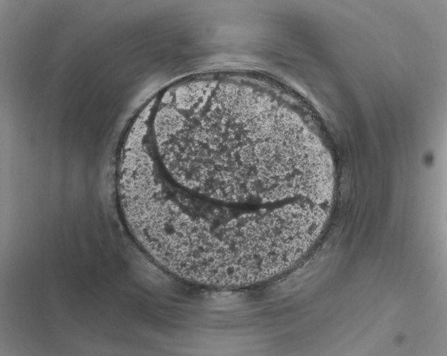 X0000116561459201001211212