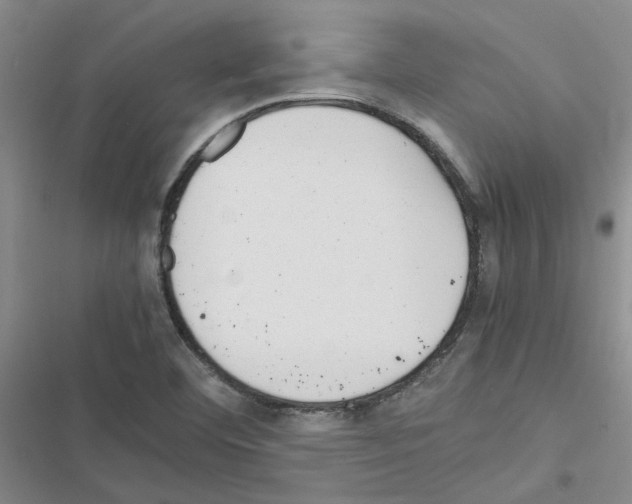 X0000116561460201001211212