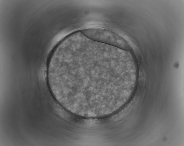 X0000116561461201001211212