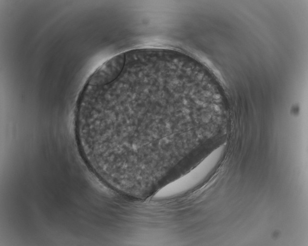 X0000116561463201001211212