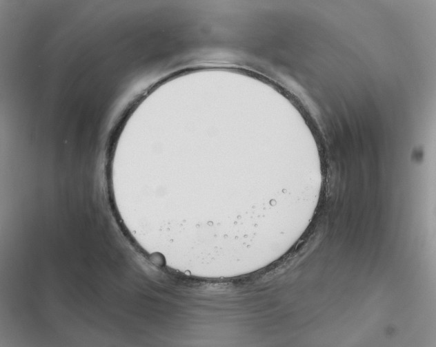 X0000116561464201001211212