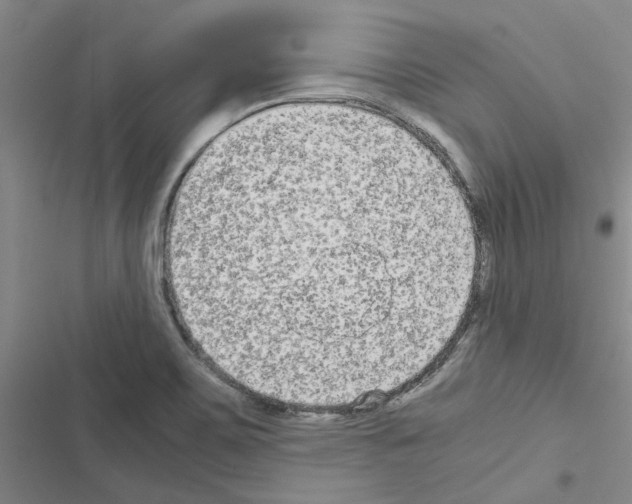 X0000116561467201001211212