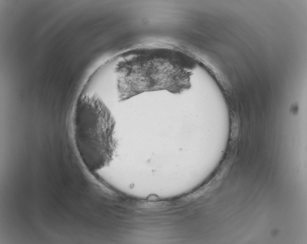 X0000116561471201001211212