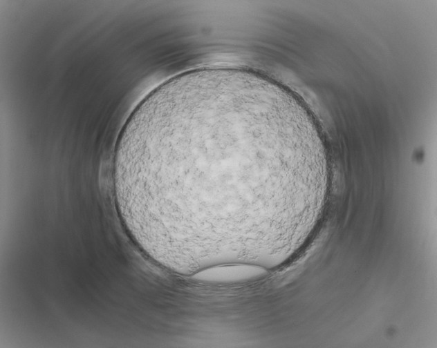 X0000116561473201001211212