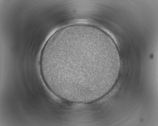 X0000116561475201001211212