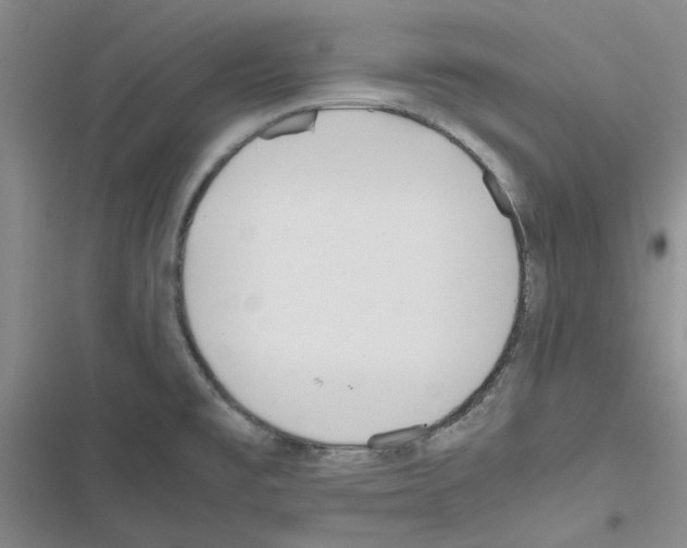 X0000116561477201001211212