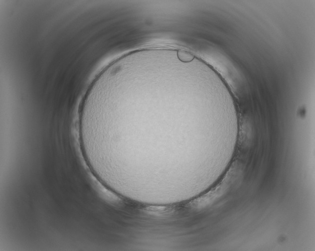 X0000116561478201001211212
