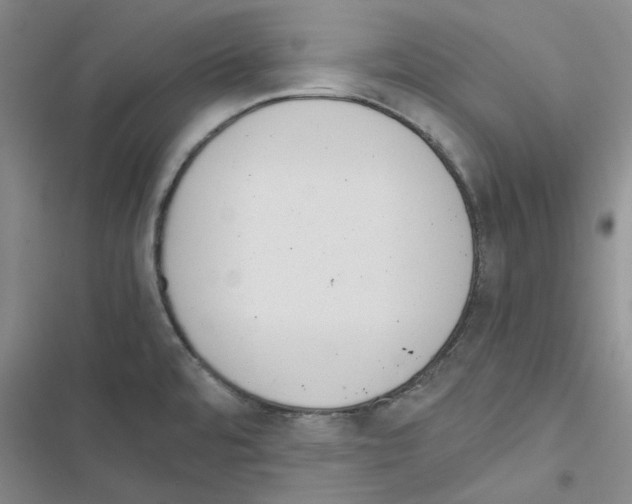 X0000116561480201001211212
