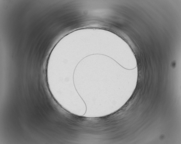 X0000116561483201001211212