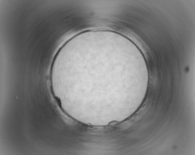 X0000116561485201001211212