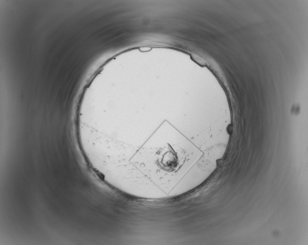 X0000116561488201001211212