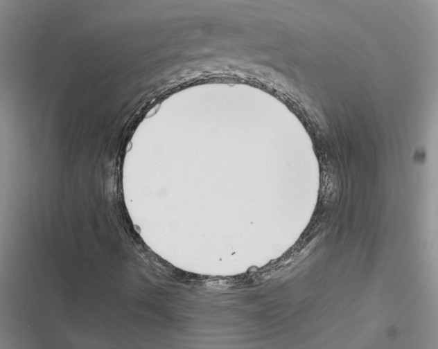 X0000116561490201001211211