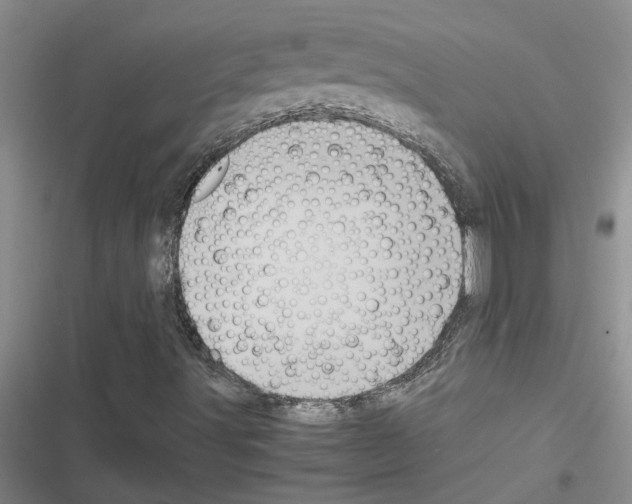 X0000116561491201001211211