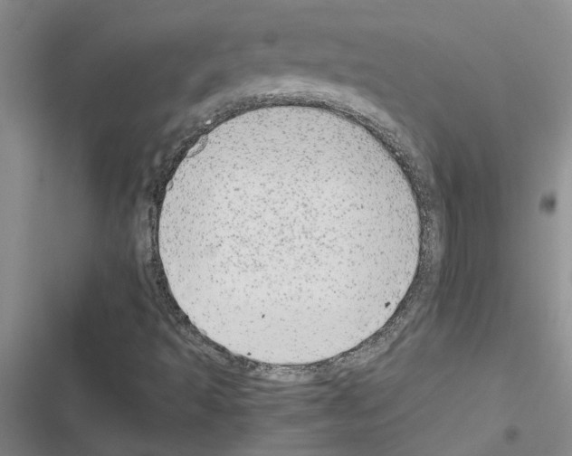 X0000116561493201001211211