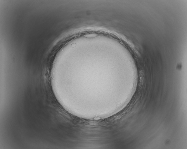 X0000116561495201001211211