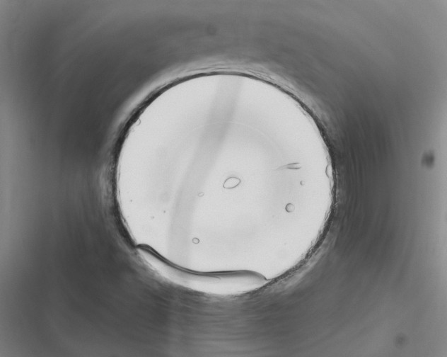 X0000116561502201001211212