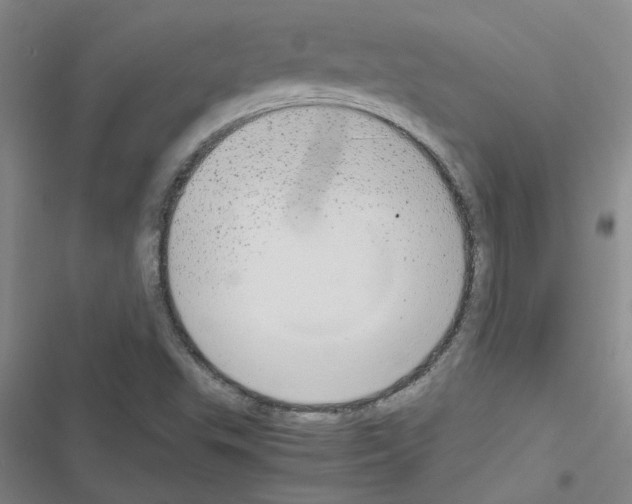 X0000116561503201001211212
