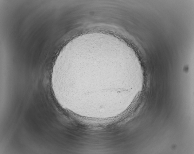 X0000116561505201001211212
