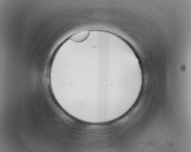 X0000116561510201001211212