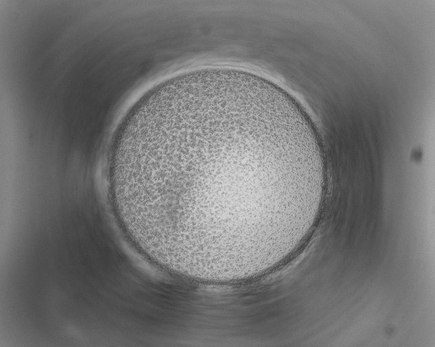 X0000116561511201001211212