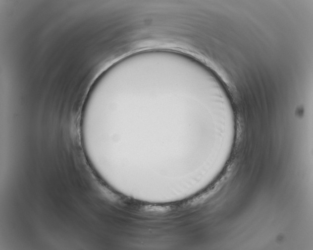 X0000116561513201001211212
