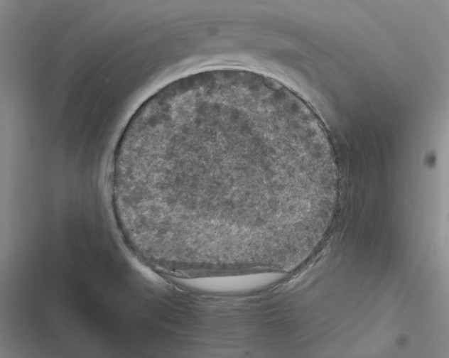 X0000116561519201001211212