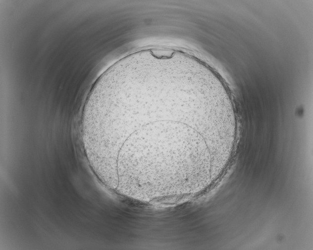X0000116561521201001211212