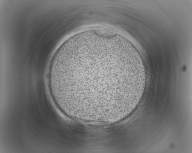 X0000116561523201001211212