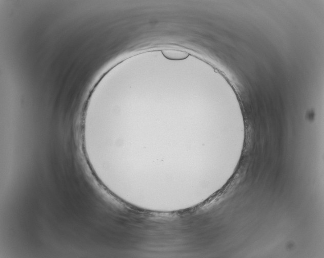 X0000116561526201001211212
