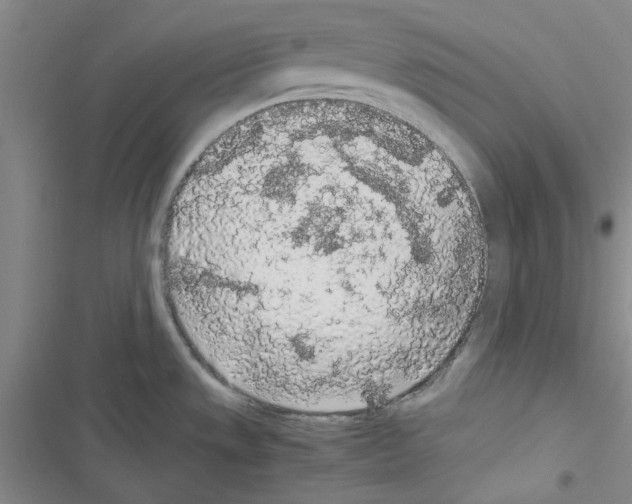 X0000116561533201001211212