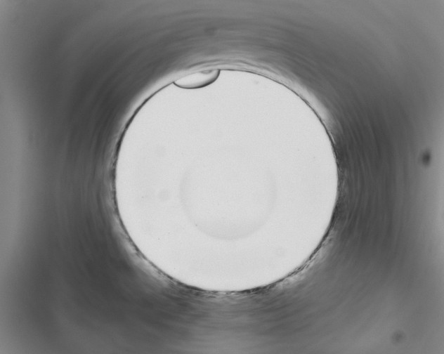 X0000116561534201001211212