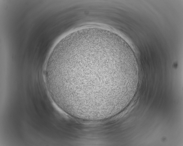 X0000116561535201001211212