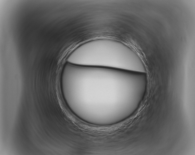 X0000116570001200912101013