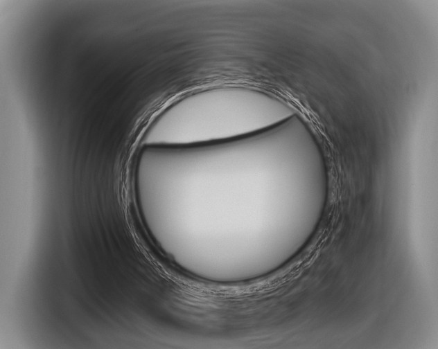 X0000116570002200912101013